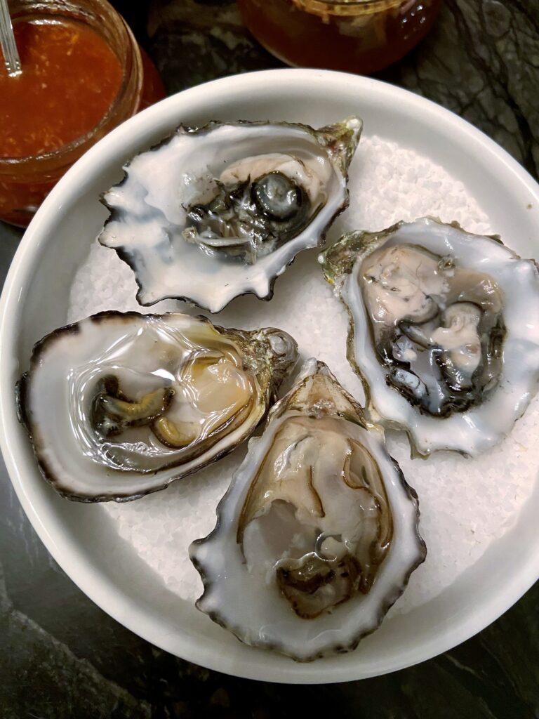 fresh oysters & white wine pairing