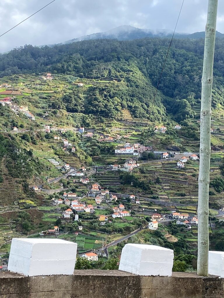 Madeira island terraces