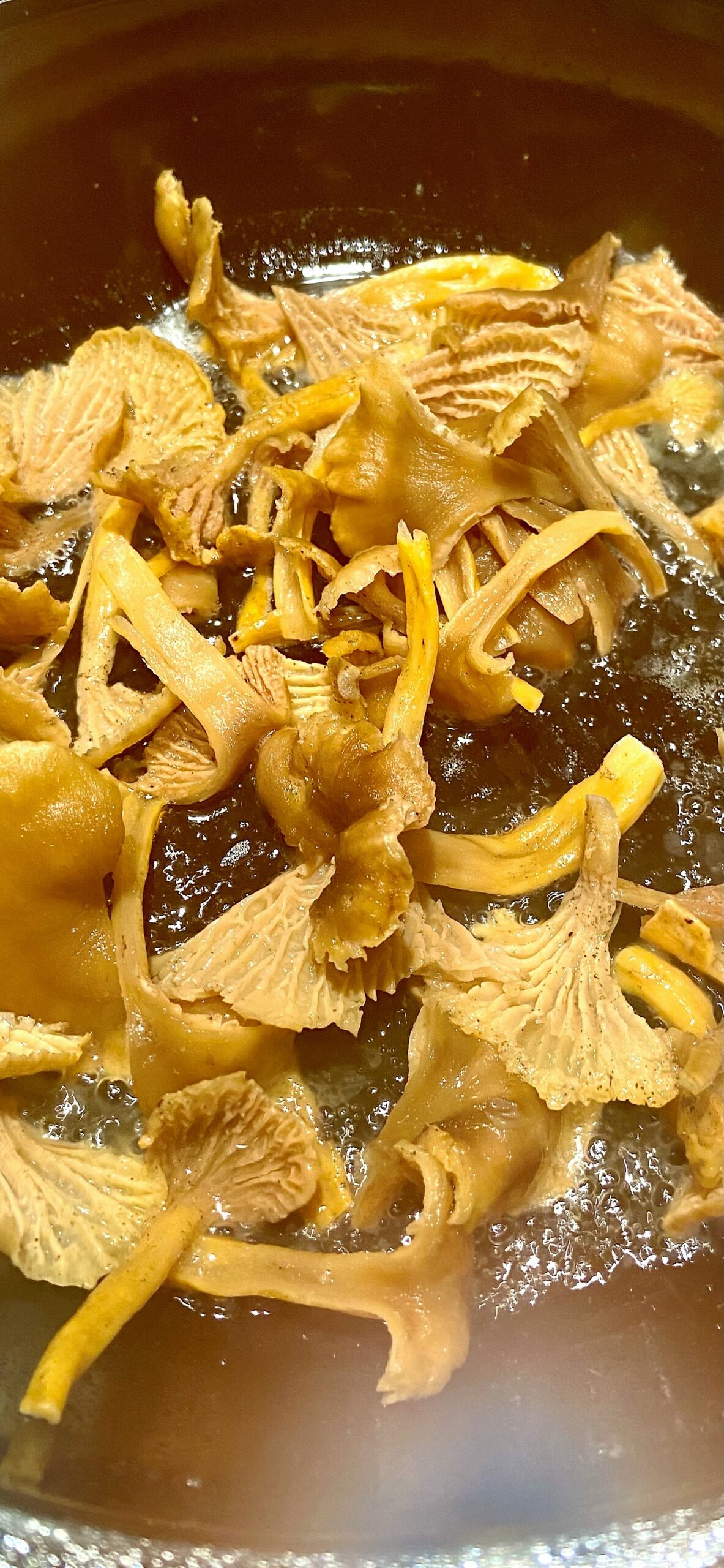 fry chanterelle mushrooms in a blend of butter and oil