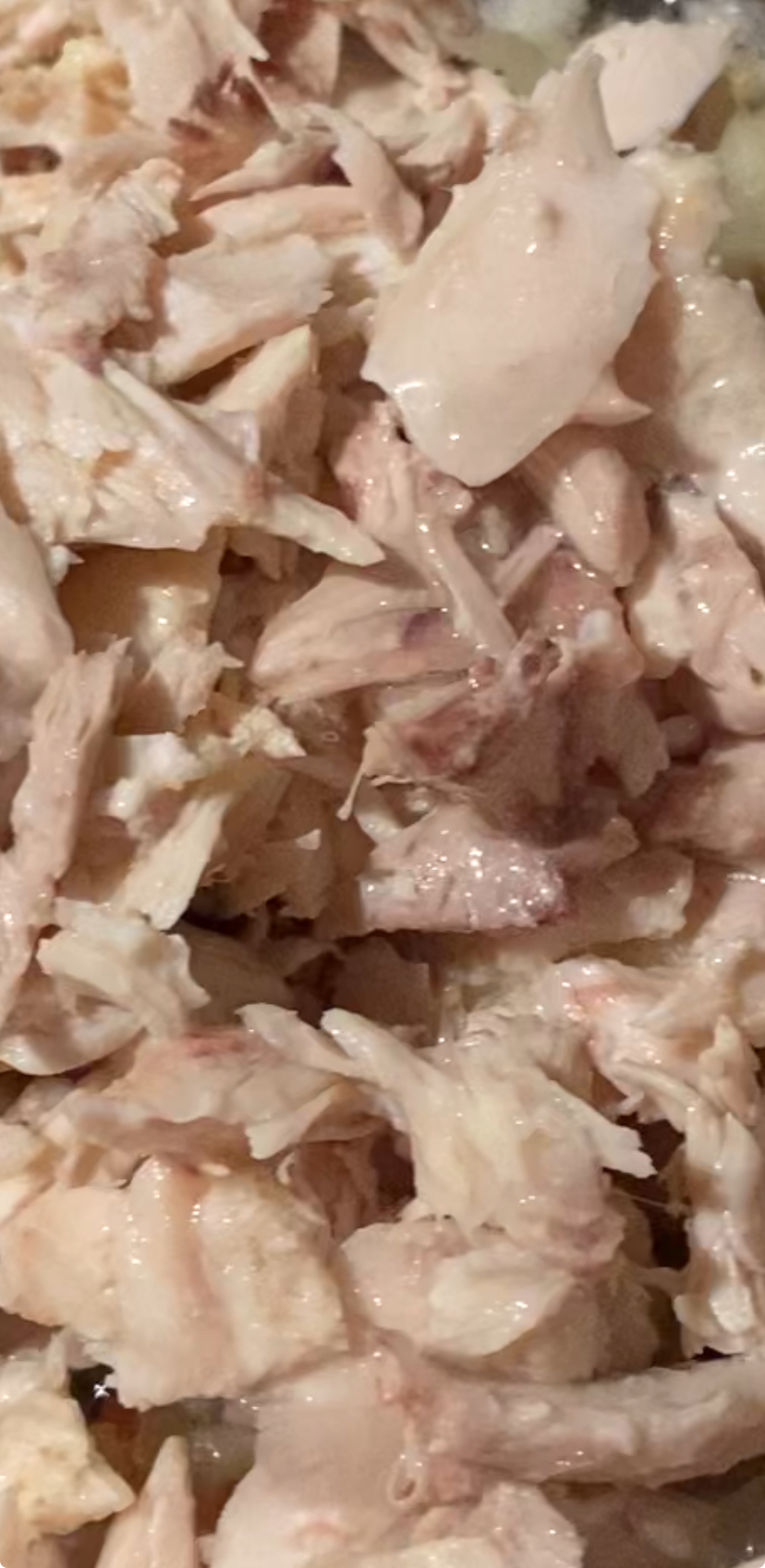 shredded chicken leftovers